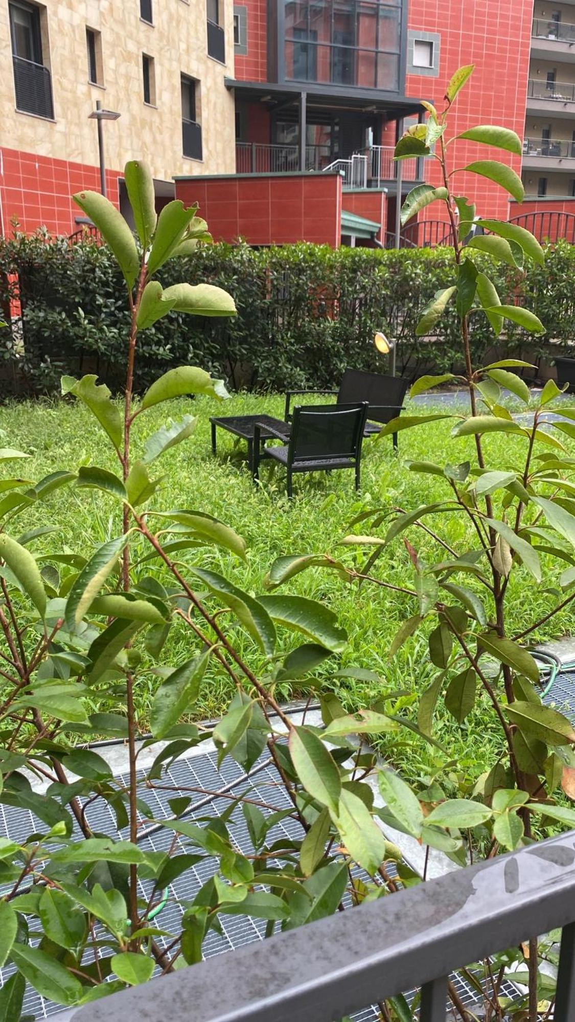 Cos54 - Exclusive Apartment With Garden In Μιλάνο Εξωτερικό φωτογραφία